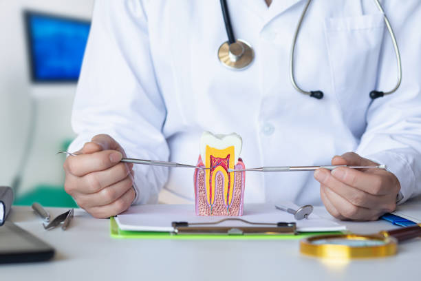 Best Emergency Care for Gum Disease in Bluffton, SC